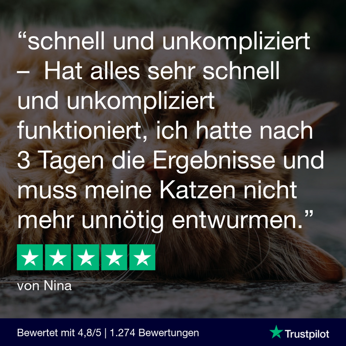 vetevo Lungenwurmtest Katze