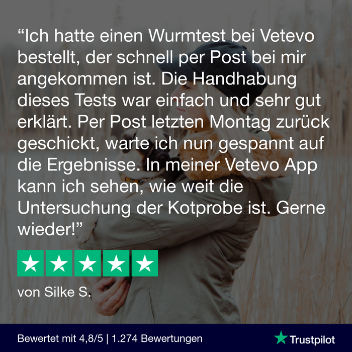 vetevo Giardientest Katze