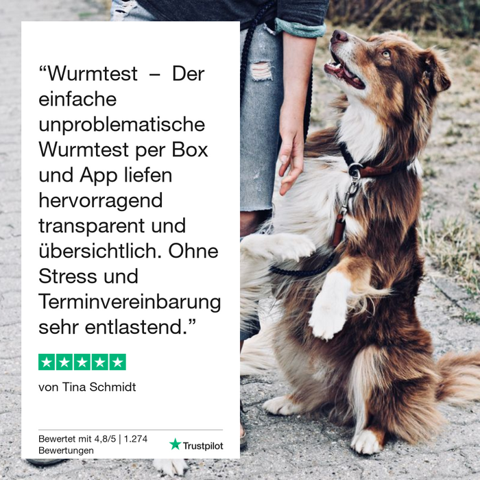 vetevo Durchfalltest Hund