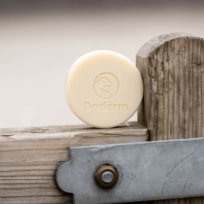 Doderm Shampoo Bar Pet