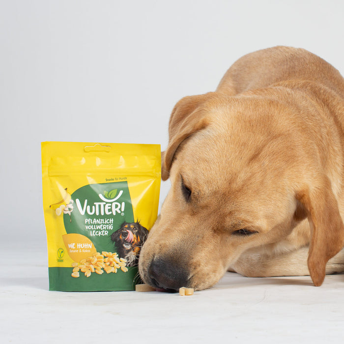Vutter! Snack: Wie Huhn