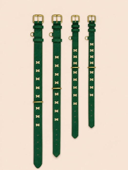 Set SIGNATURE no.05 (Halsband & Leine)