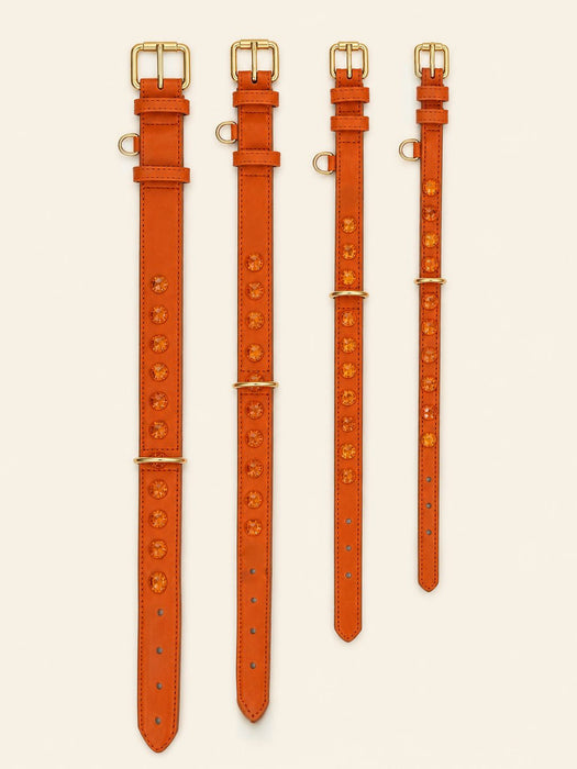 Set SOFT no.02 (Halsband & Leine)