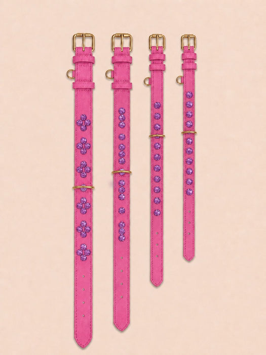 Set SIGNATURE no.03 (Halsband & Leine)