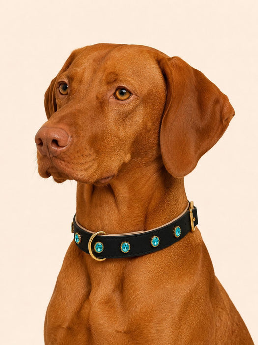 URBAN no.05 - Hundehalsband mit hellblauen Kristallen