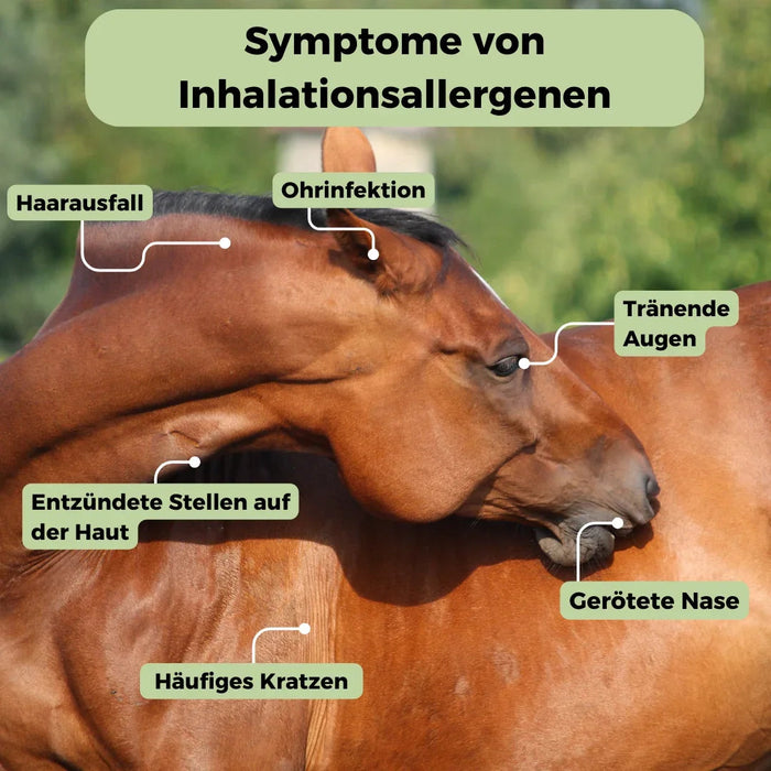 Inhalatieallergenentest paard