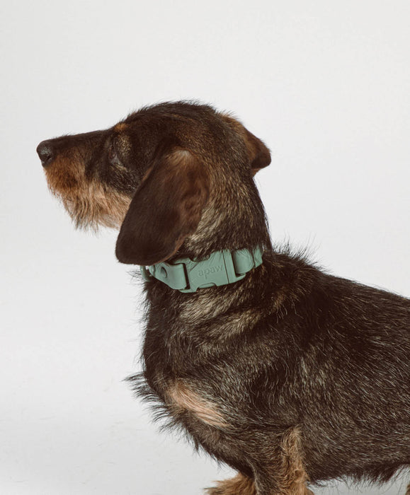 Halsband 'Ease'