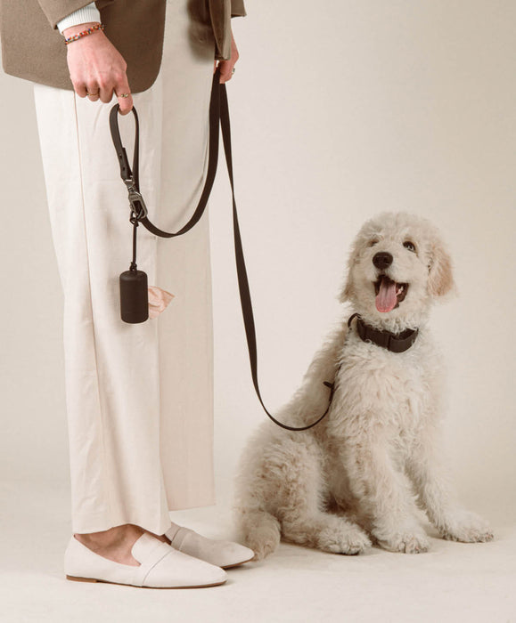 Poop Bag Carrier Set