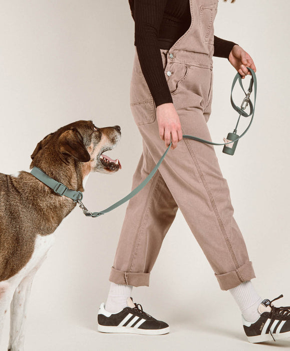 Poop Bag Carrier Set