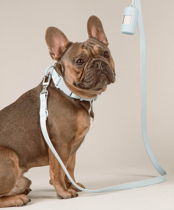 Poop Bag Carrier Set