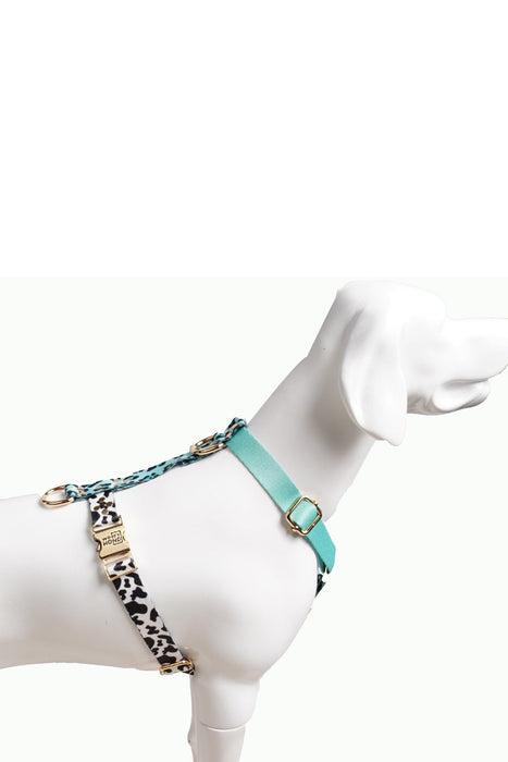 Hundegeschirr Aqua-Camo