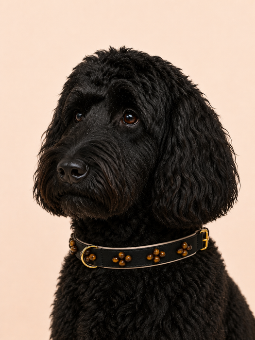 SOFT no.05 - Hundehalsband mit Edelsteinen (Tigerauge)