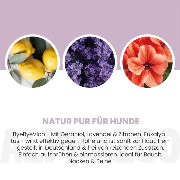 ByeByeVloh Flohspray für Hunde