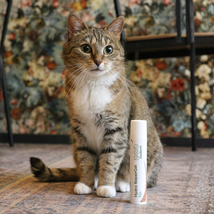 Hydro RepairGel Pet