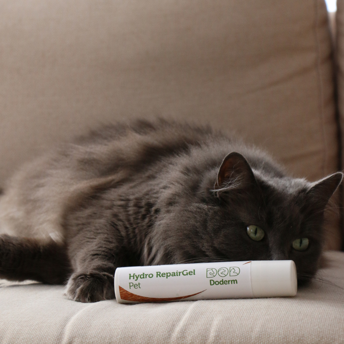 Hydro RepairGel Pet