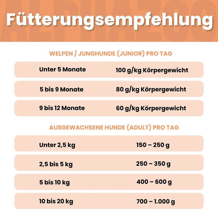Wild + Rind Nassfutter für Adult Hunde