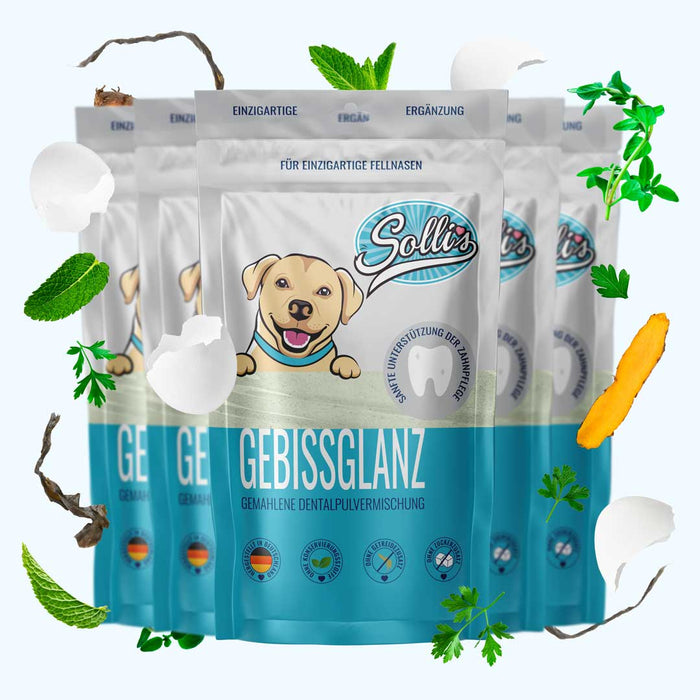 Dentalpulver Gebissglanz - Für Zahnpflege & frischen Atem