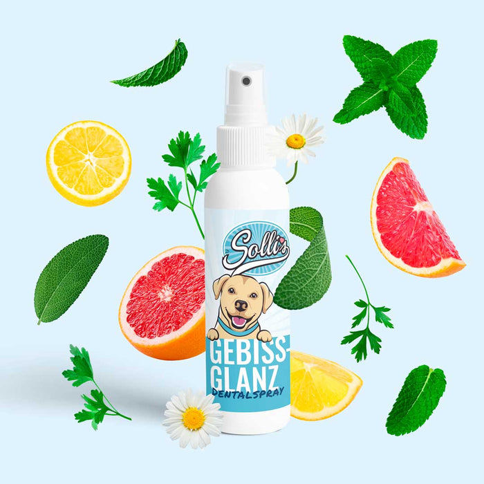 Dentalspray Gebissglanz - Für Zahnpflege & frischen Atem