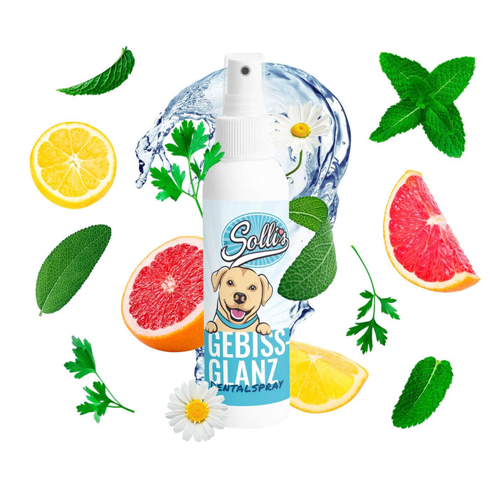 Dentalspray Gebissglanz - Für Zahnpflege & frischen Atem