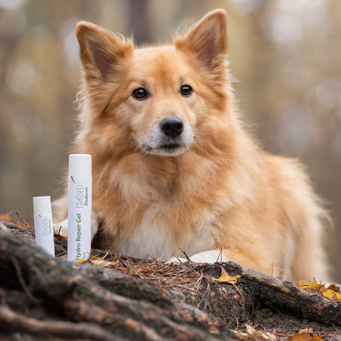 Hydro RepairGel Pet