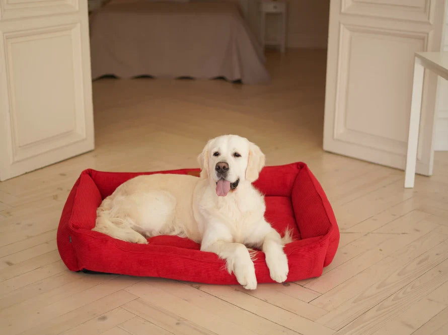 DREAMER orthopädisches Hundebett aus Möbelcord mit Handwerklich/ Höchste Funktionalität