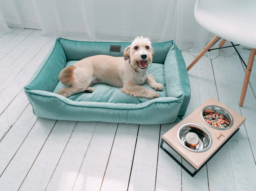 DREAMER orthopädisches Hundebett aus Möbelvelours / gegen Graben und Buddeln resistent