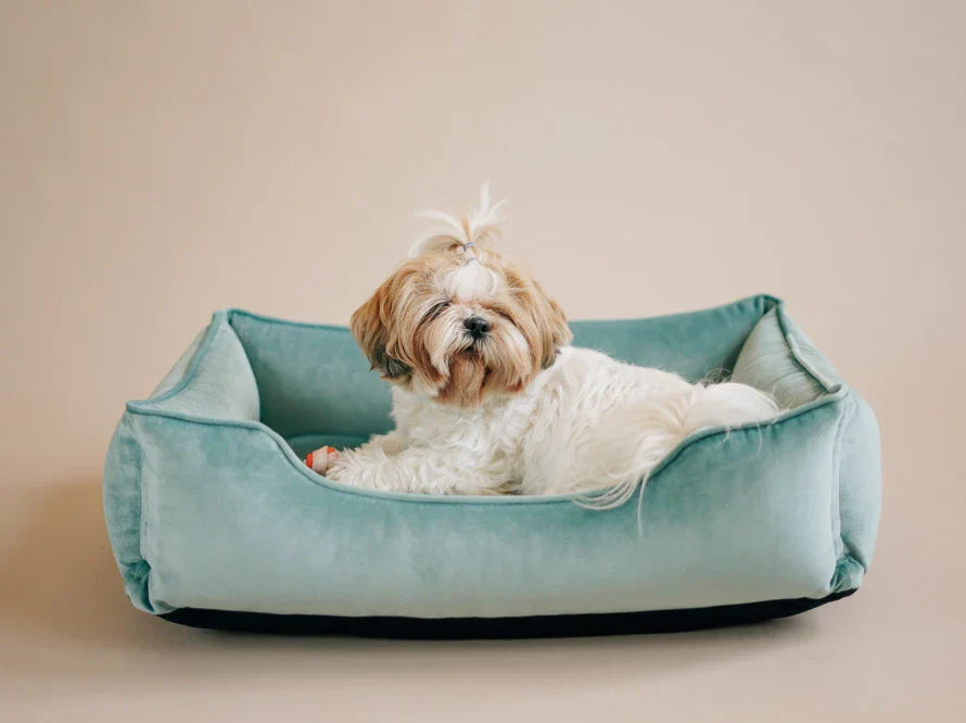 DREAMER orthopädisches Hundebett aus Möbelvelours / gegen Graben und Buddeln resistent