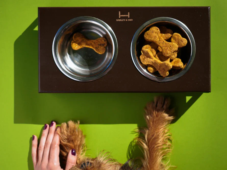 LUNCH BAR Hundenapf / Holz Napfständer mit zwei Edelstahlnäpfen für kleine Hunde / schwarzer Metallrahmen