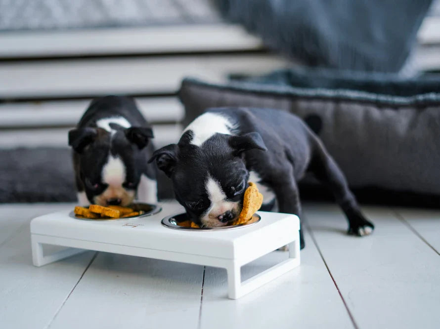 LUNCH BAR Hundenapf / Holz Napfständer mit zwei Edelstahlnäpfen für kleine Hunde / weißer Metallrahmen