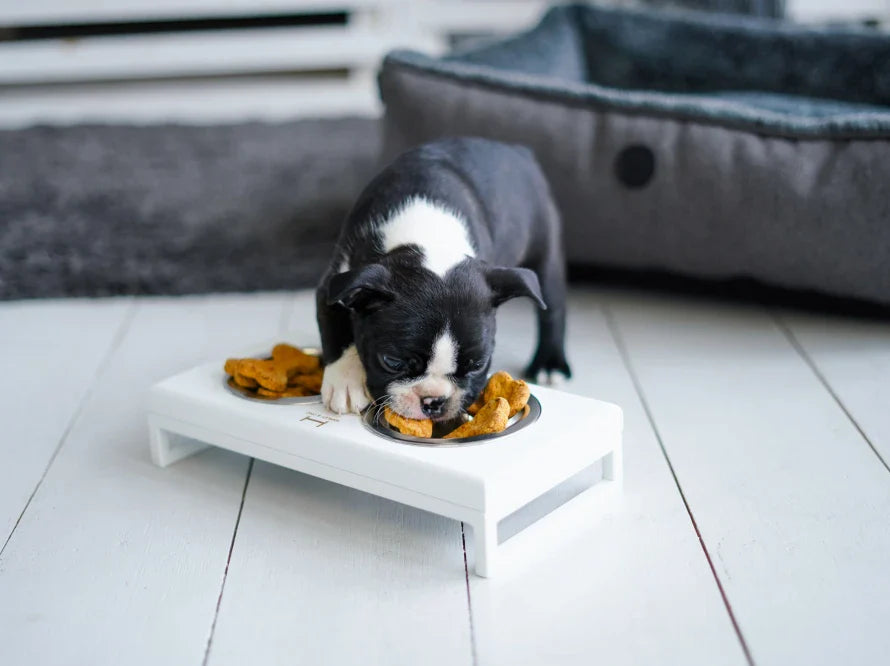 LUNCH BAR Hundenapf / Holz Napfständer mit zwei Edelstahlnäpfen für kleine Hunde / weißer Metallrahmen