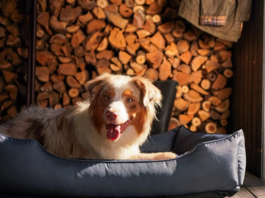 DREAMER wasserabweisendes Hundebett mit Handwerklich