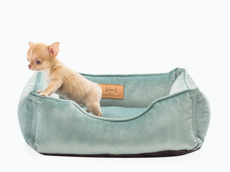 DREAMER orthopädisches Hundebett aus Möbelvelours / gegen Graben und Buddeln resistent