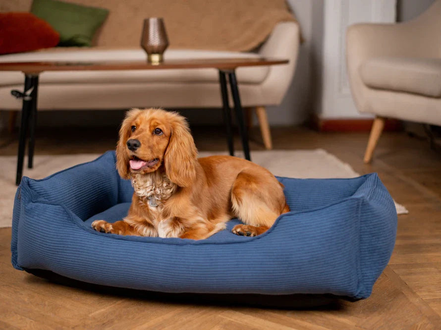 DREAMER orthopädisches Hundebett aus Möbelcord mit Handwerklich/ Höchste Funktionalität