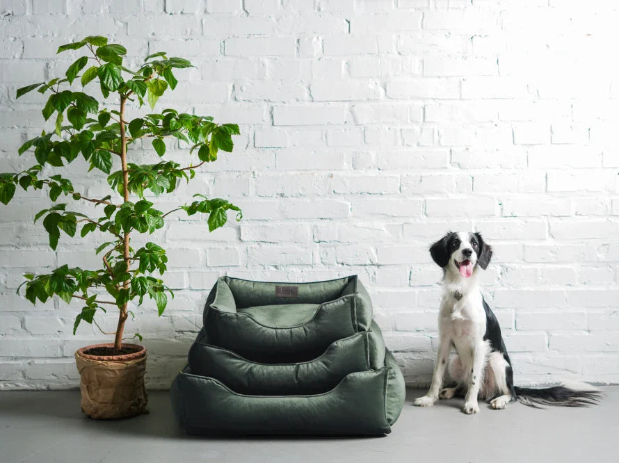 DREAMER orthopädisches Hundebett aus Möbelvelours / gegen Graben und Buddeln resistent