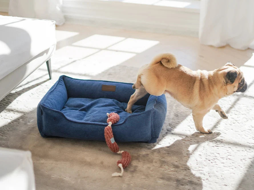 DREAMER orthopädisches Hundebett aus Möbelcord mit Handwerklich/ Höchste Funktionalität