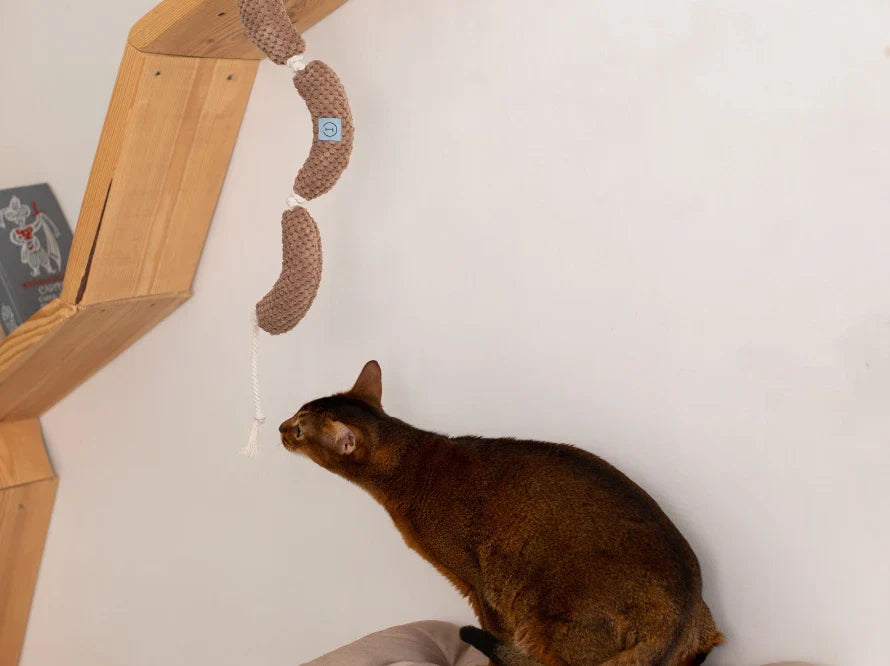 WÜRSTCHEN Katzenspielzeug / interaktives Plüschtier / sanftes Rascheln