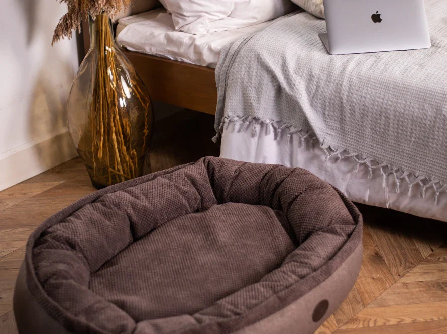 DONUT Hundebett aus langlebigem Soft-Touch-Möbelstoff