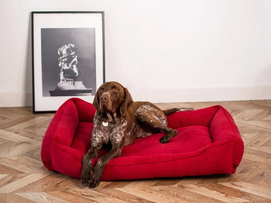 DREAMER orthopädisches Hundebett aus Möbelcord mit Handwerklich/ Höchste Funktionalität