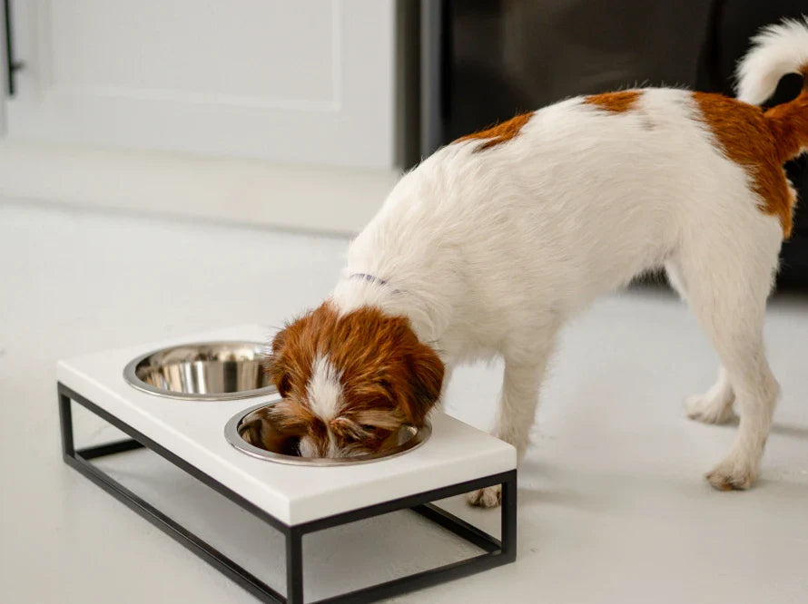 LUNCH BAR Hundenapf / Holz Napfständer mit zwei Edelstahlnäpfen für kleine Hunde / schwarzer Metallrahmen