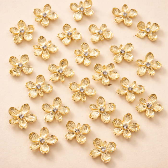 Set IDENTITY (Halsband & Leine)