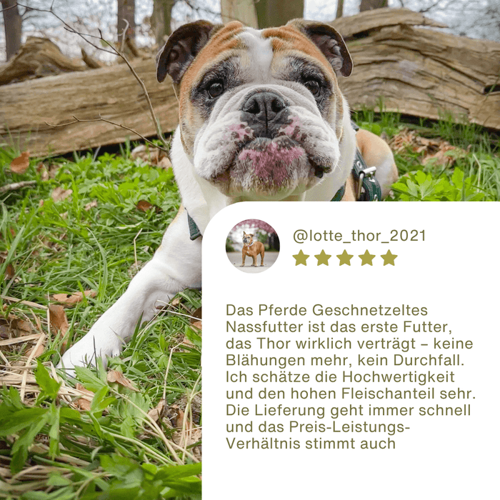Pferde Geschnetzeltes