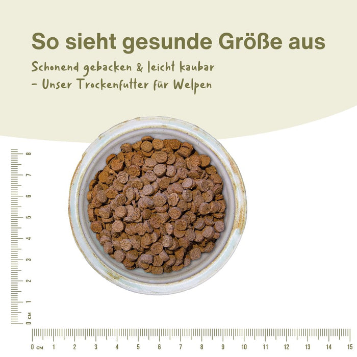 Welpe Pute Premium Trockenfutter