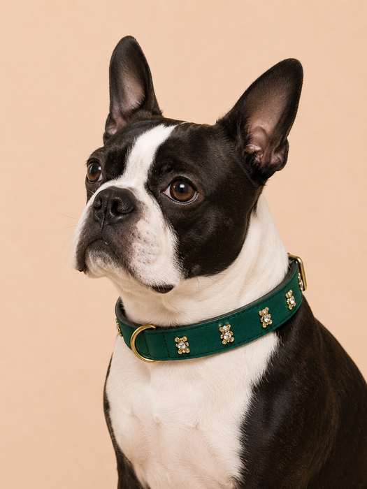 SIGNATURE no.05 - Hundehalsband mit Bärchen