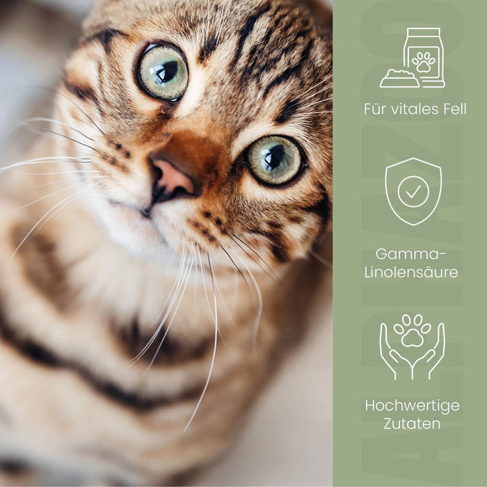 Fellliebe Futteröl für Katzen