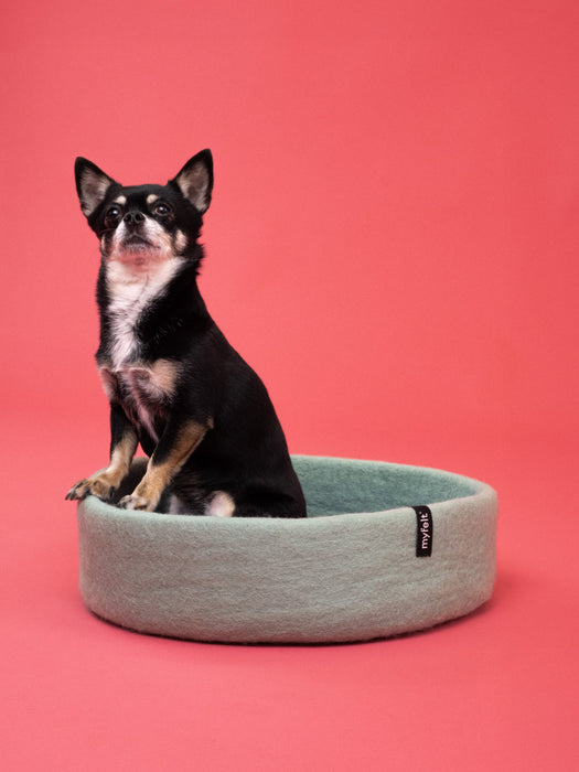 Fine Hundekorb