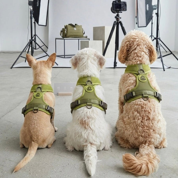 Hundegeschirr FORM – Premium