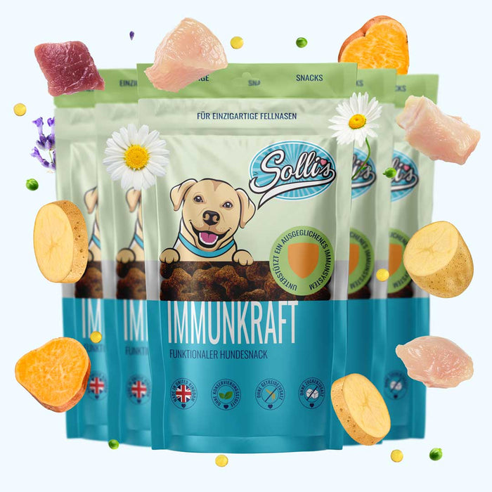 Funktionaler Snack Immunsystem - Fördert Immunabwehr