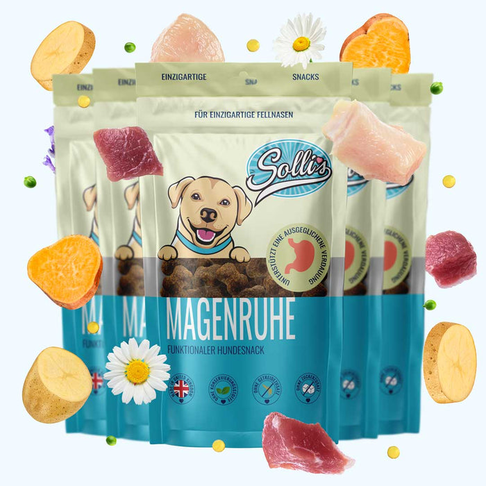 Funktionaler Snack Verdauung - Fördert eine gesunde Darmflora