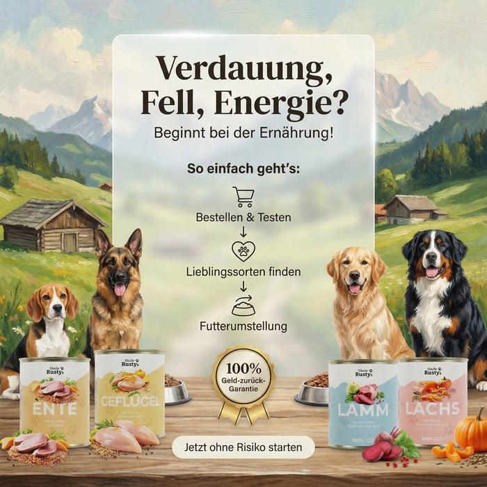 Wild mit Süßkartoffeln und Zucchini