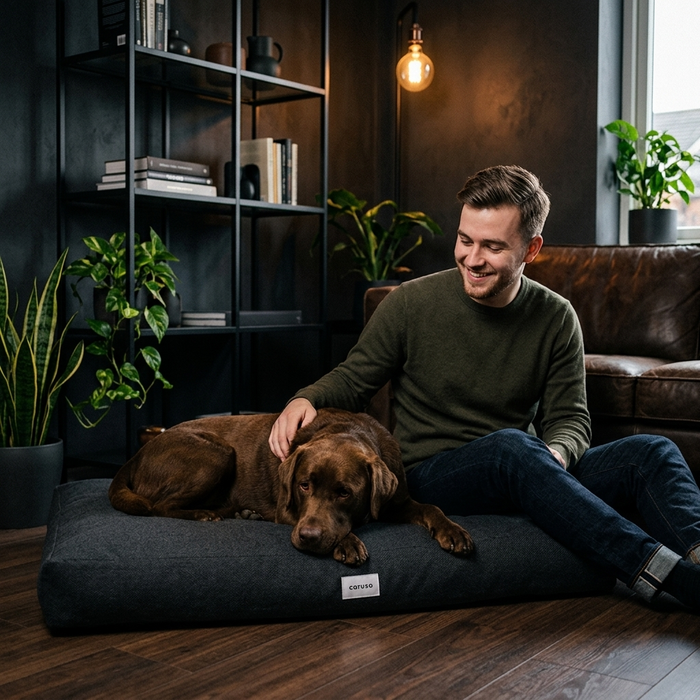 Hundebett Clean